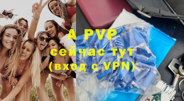 ешки Белокуриха
